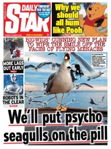 Daily Star - 22.10.2024