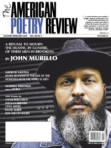 The American Poetry Review - 01/02 2019