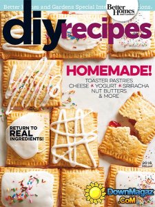 DIY Recipes 2016 USA