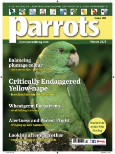 Parrots - 03.2023