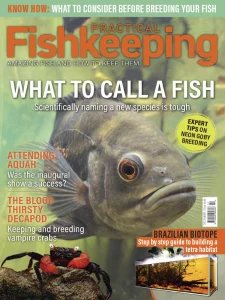 Practical Fishkeeping - 12.2024