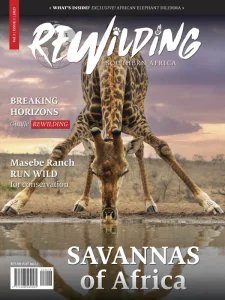 Rewilding Southern Africa - Vol 3 Is. 1 2025