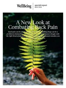 WellBeing - Combating Back Pain