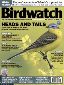 Birdwatch - 05.2020