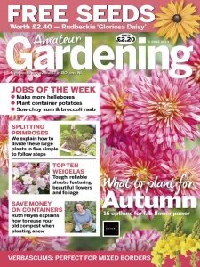 Amateur Gardening - 3.06.2023