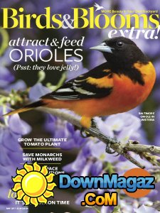 Birds and Blooms Extra - 05.2017