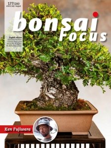 Bonsai Focus - 07/08 2022