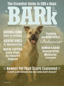 The Bark - Fall 2018