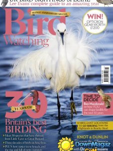 Bird Watching - March 2016