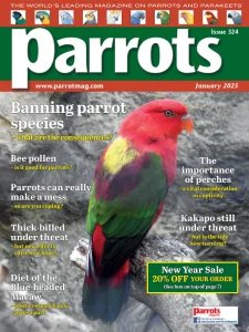 Parrots - 01.2025