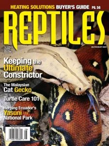 Reptiles - 07/08 2024