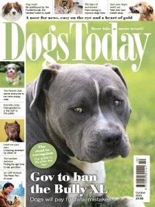 Dogs Today UK - 10.2023