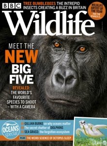 BBC Wildlife - 06.2021