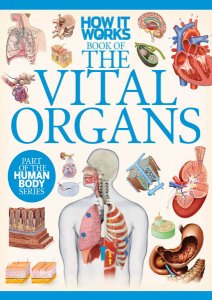 How It Works - Vital Organs