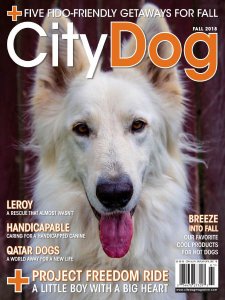 CityDog - Fall 2018