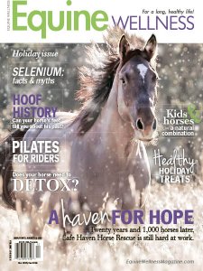 Equine Wellness - 12/01 2016