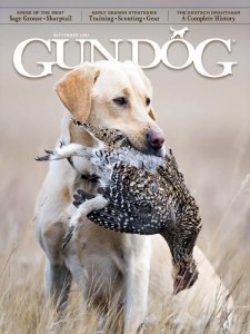 Gun Dog - 09.2023