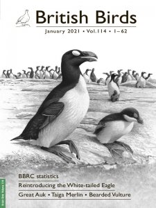 British Birds - 01.2021