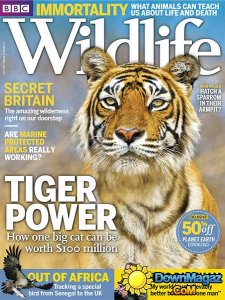 BBC Wildlife - April 2016