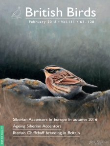 British Birds - 02.2018