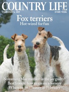 Country Life UK - 02.6.2019