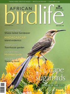 African Birdlife - 05/06 2018