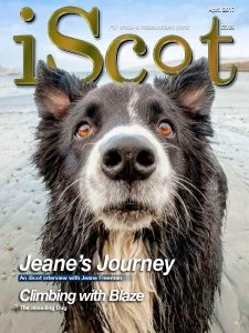 iScot - 04.2017