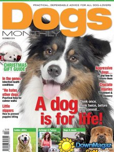 Dogs Monthly - December 2014