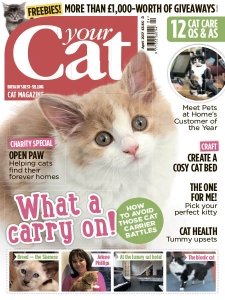 Your Cat - 04.2017