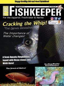 The Fishkeeper - 07/08 2021