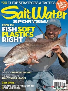 Salt Water Sportsman - February 2011