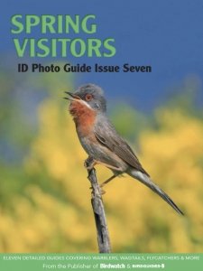 Bird ID Photo Guide - Is. 7 2023