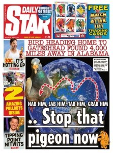 Daily Star 2.07 2022