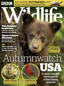 BBC Wildlife - 10.2018