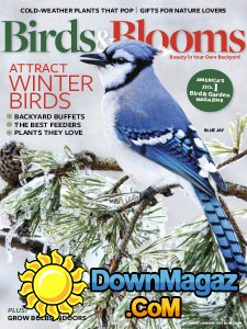 Birds & Blooms - 12.2017 - 01.2018