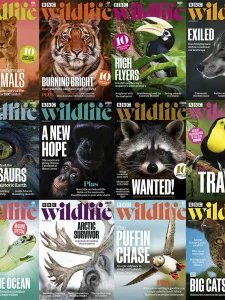 BBC Wildlife - 2024 Full Year