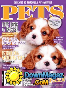 Pets AU - 08.2017