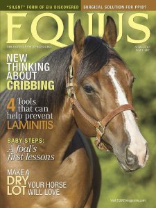 Equus - 04.2018