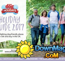 Your Dog Holiday Guide 2017