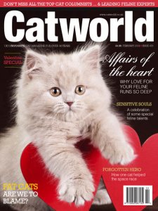 Cat World - 02.2018