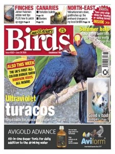 Cage & Aviary Birds - 26.06.2024