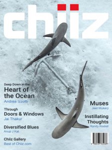 Chiiz - Vol.16 2018