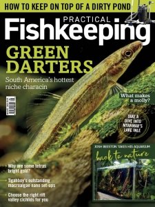 Practical Fishkeeping - 08.2022