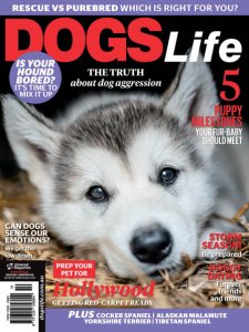 Dogs Life - 01/02 2018