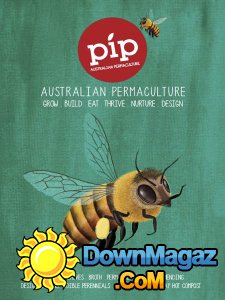 Pip - Issue 4 2017