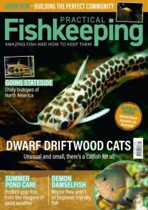 Practical Fishkeeping - 07.2025