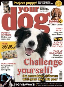 Your Dog – 05.2018