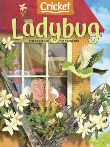 Ladybug - 05/06 2021