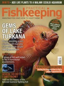 Practical Fishkeeping - 04.2025