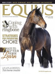 Equus - 02.2018